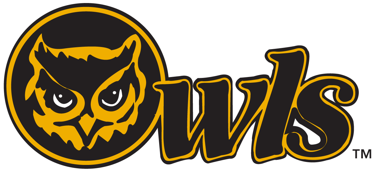 Kennesaw State Owls 0-2011 Secondary Logo v2 DIY iron on transfer (heat transfer)